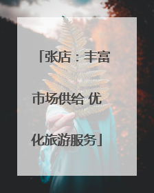 张店：丰富市场供给 优化旅游服务