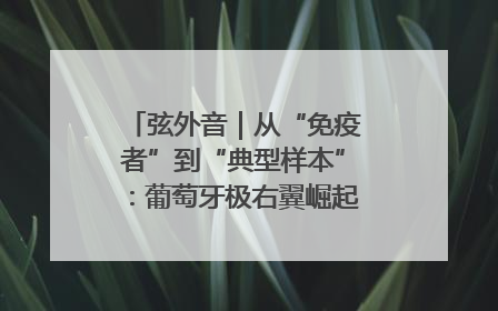 弦外音｜从“免疫者”到“典型样本”：葡萄牙极右翼崛起背后的欧洲困局