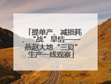提单产、减损耗、“战”旱情——燕赵大地“三夏”生产一线观察