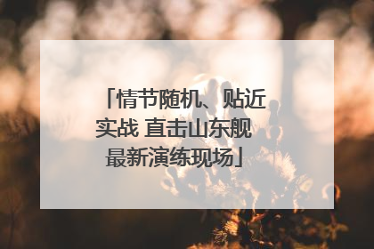 情节随机、贴近实战 直击山东舰最新演练现场