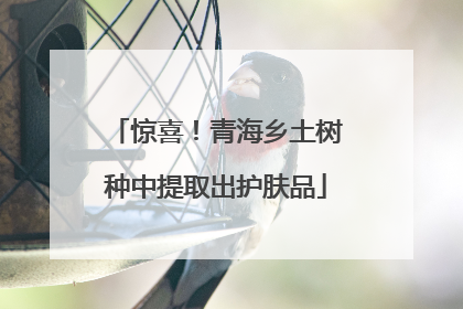 惊喜！青海乡土树种中提取出护肤品