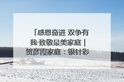 感恩奋进 双争有我·致敬最美家庭｜贺彦霞家庭：银针彩线绣出好日子