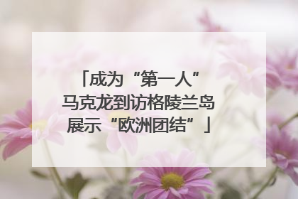 成为“第一人” 马克龙到访格陵兰岛展示“欧洲团结”