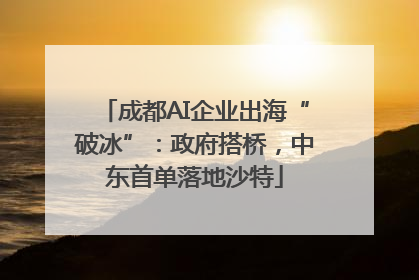 成都AI企业出海“破冰”：政府搭桥，中东首单落地沙特