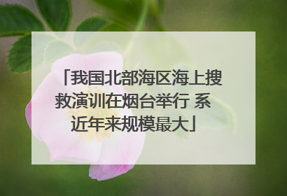 我国北部海区海上搜救演训在烟台举行 系近年来规模最大