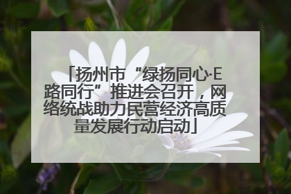 扬州市“绿扬同心·E路同行”推进会召开，网络统战助力民营经济高质量发展行动启动