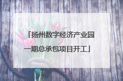 扬州数字经济产业园一期总承包项目开工