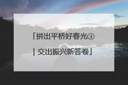 拼出平桥好春光③｜交出振兴新答卷