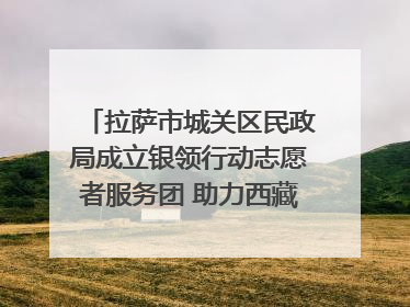 拉萨市城关区民政局成立银领行动志愿者服务团 助力西藏银发经济发展
