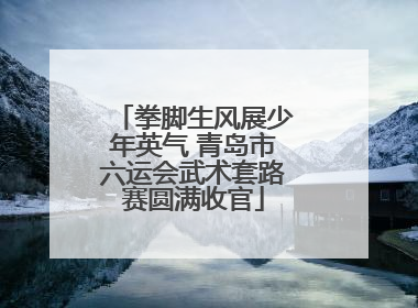 拳脚生风展少年英气 青岛市六运会武术套路赛圆满收官