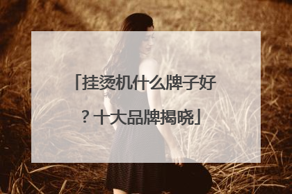 挂烫机什么牌子好？十大品牌揭晓