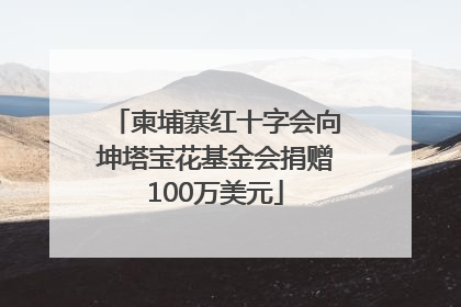 柬埔寨红十字会向坤塔宝花基金会捐赠100万美元