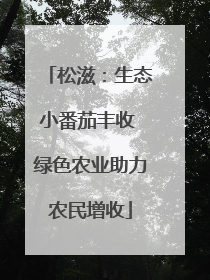 松滋：生态小番茄丰收 绿色农业助力农民增收