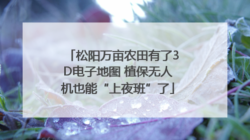 松阳万亩农田有了3D电子地图 植保无人机也能“上夜班”了