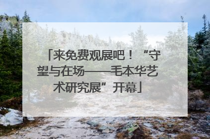 来免费观展吧！“守望与在场——毛本华艺术研究展”开幕