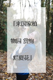 来国家植物园 赏绚烂夏花