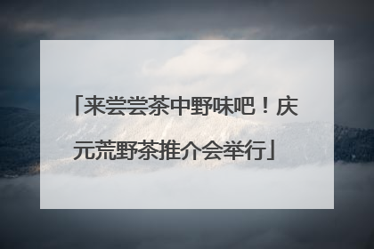 来尝尝茶中野味吧！庆元荒野茶推介会举行