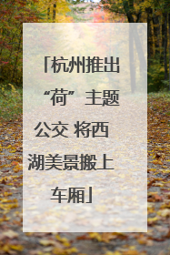 杭州推出“荷”主题公交 将西湖美景搬上车厢