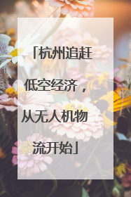 杭州追赶低空经济，从无人机物流开始
