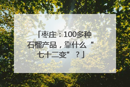 枣庄：100多种石榴产品，靠什么“七十二变”？