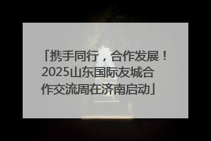 携手同行，合作发展！2025山东国际友城合作交流周在济南启动