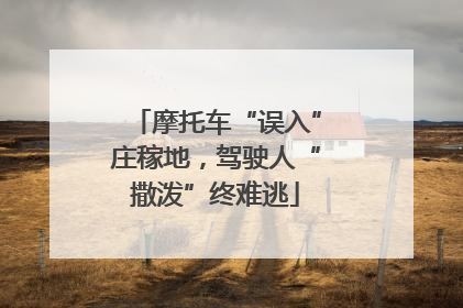 摩托车“误入”庄稼地，驾驶人“撒泼”终难逃