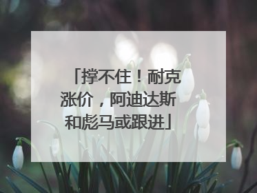 撑不住！耐克涨价，阿迪达斯和彪马或跟进