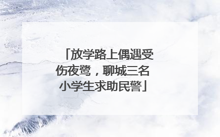 放学路上偶遇受伤夜鹭，聊城三名小学生求助民警