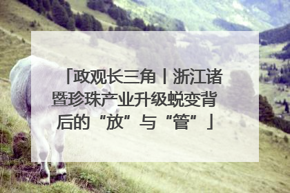 政观长三角丨浙江诸暨珍珠产业升级蜕变背后的“放”与“管”