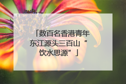 数百名香港青年东江源头三百山“饮水思源”