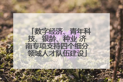 数字经济、青年科技、银龄、种业 济南专项支持四个细分领域人才队伍建设