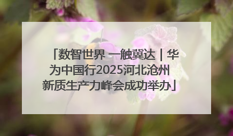 数智世界 一触冀达｜华为中国行2025河北沧州新质生产力峰会成功举办