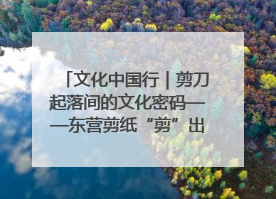 文化中国行｜剪刀起落间的文化密码——东营剪纸“剪”出非遗传承与现代生活的融合之道
