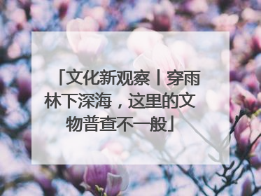 文化新观察丨穿雨林下深海，这里的文物普查不一般