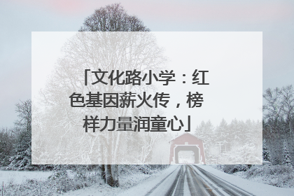 文化路小学：红色基因薪火传，榜样力量润童心