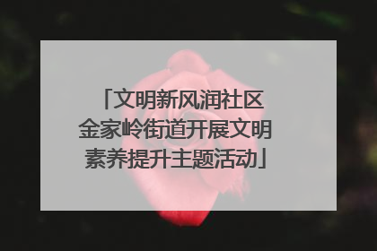 文明新风润社区 金家岭街道开展文明素养提升主题活动
