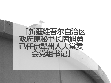 新疆维吾尔自治区政府原秘书长周旭勇已任伊犁州人大常委会党组书记
