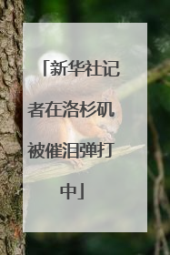 新华社记者在洛杉矶被催泪弹打中