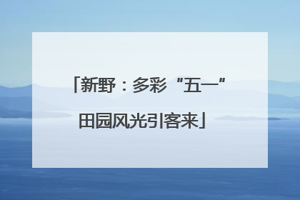 新野：多彩“五一” 田园风光引客来