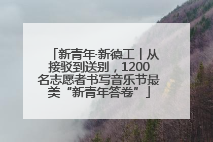 新青年·新德工丨从接驳到送别，1200名志愿者书写音乐节最美“新青年答卷”
