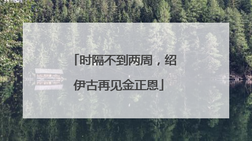 时隔不到两周，绍伊古再见金正恩