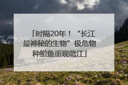 时隔20年！“长江最神秘的生物”极危物种鳤鱼重现赣江