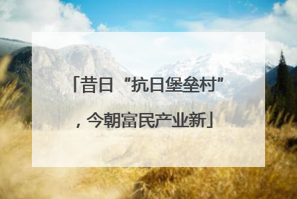 昔日“抗日堡垒村”，今朝富民产业新