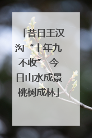 昔日王汉沟“十年九不收” 今日山水成景桃树成林