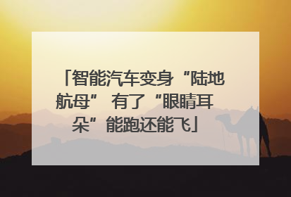 智能汽车变身“陆地航母” 有了“眼睛耳朵”能跑还能飞