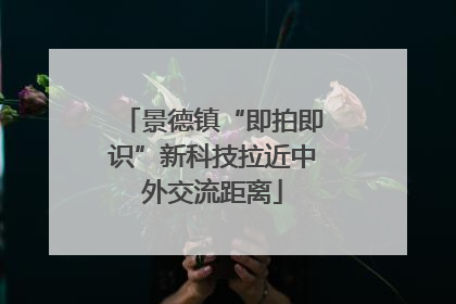 景德镇“即拍即识”新科技拉近中外交流距离