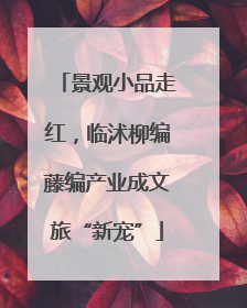 景观小品走红，临沭柳编藤编产业成文旅“新宠”