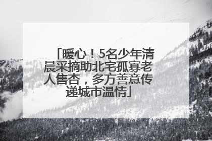 暖心！5名少年清晨采摘助北宅孤寡老人售杏，多方善意传递城市温情
