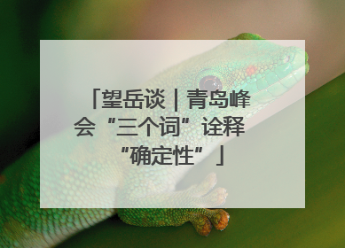 望岳谈｜青岛峰会“三个词”诠释“确定性”