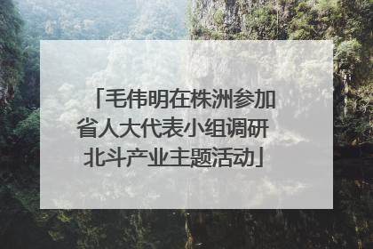 毛伟明在株洲参加省人大代表小组调研北斗产业主题活动